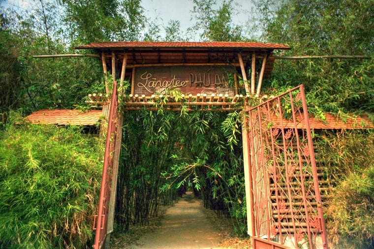 lang-tre-phu-an lang-tre-phu-an