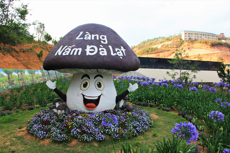 Làng nấm Đà Lạt – Ngôi làng cổ tích mang nhiều điều thú vị