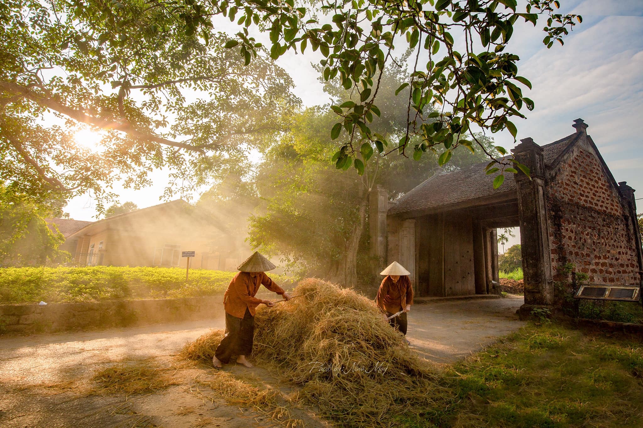 Ảnh: vietnamnet