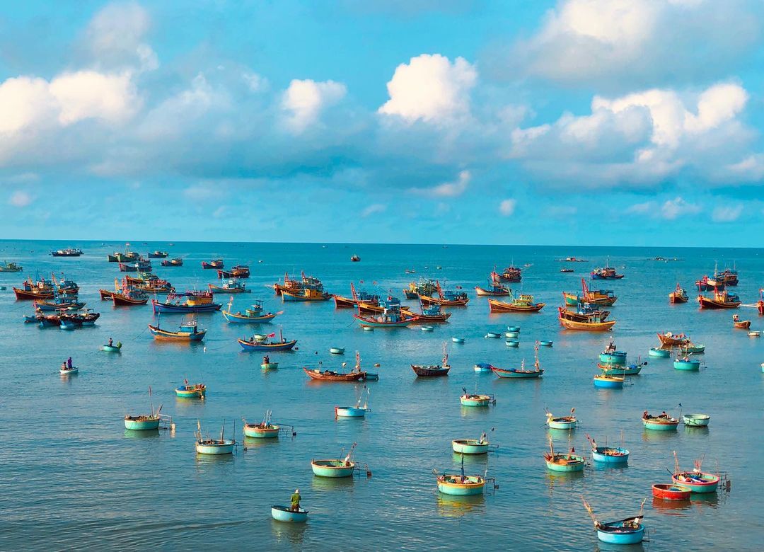 Ngư dân Mũi Né dỡ hàng sau chuyến ra khơi