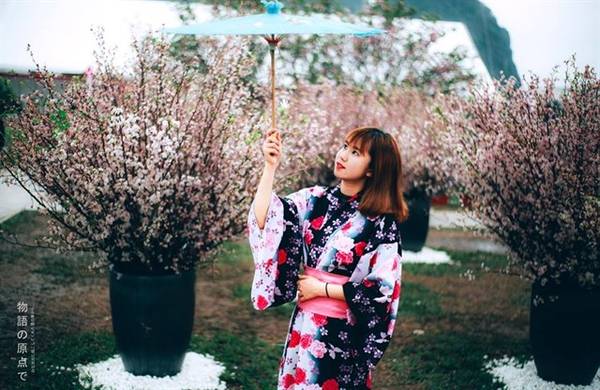 Tại khuôn viên lễ hội, du khách còn có thể tìm hiểu các nét văn hóa của Nhật như nghệ thuật trà đạo, thư pháp, múa kịch truyền thống Nhật Bản, cờ cá chép... Ảnh: ST