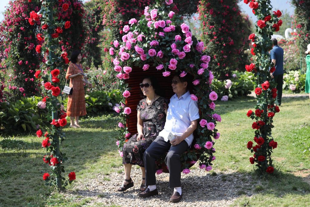 Nhiều loại hoa hồng tại thung lũng hoa