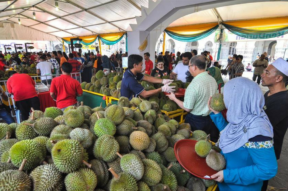 Thỏa thích thưởng thức tại lễ hội sầu riêng Penang