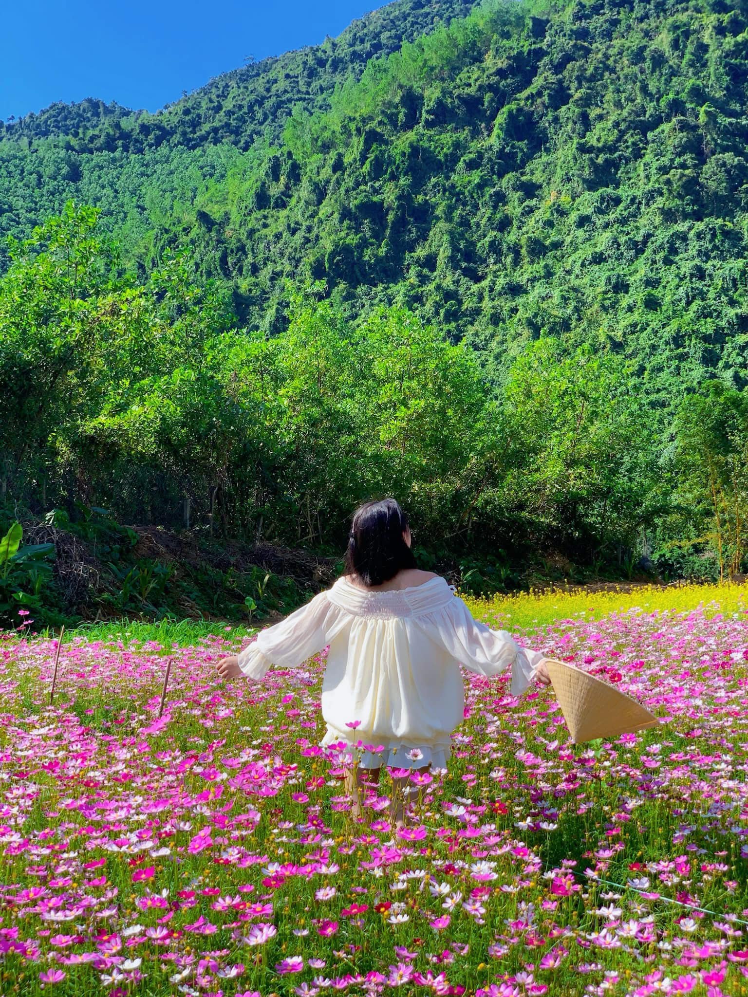 Không gian thiên nhiên tại Leaf Village Farm Đà Nẵng