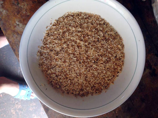 Trứng kiến mẩy, căng, thành quả của một buổi chiều - Ảnh: Hoàng Hân