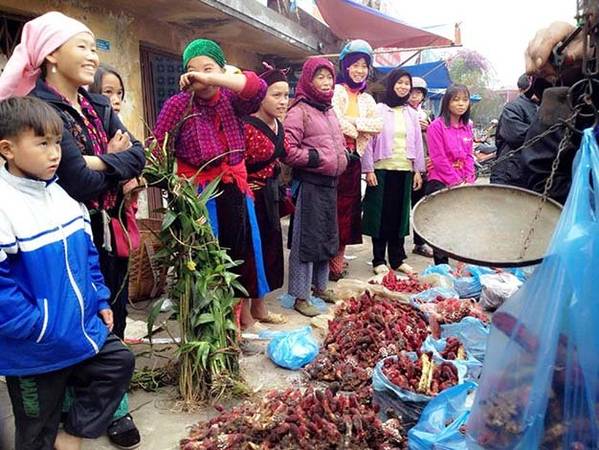 Người dân bày bán nấm ngọc cẩu bên đường - Ảnh: H.L.Đ.Hợp