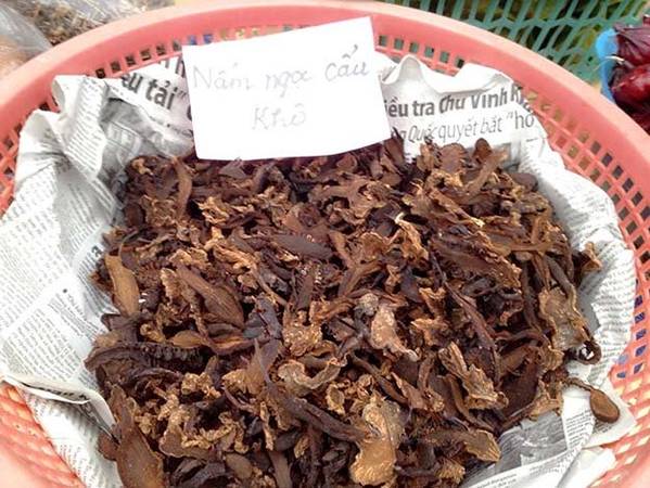 Nấm ngọc cẩu tươi - Ảnh: H.L.Đ.Hợp