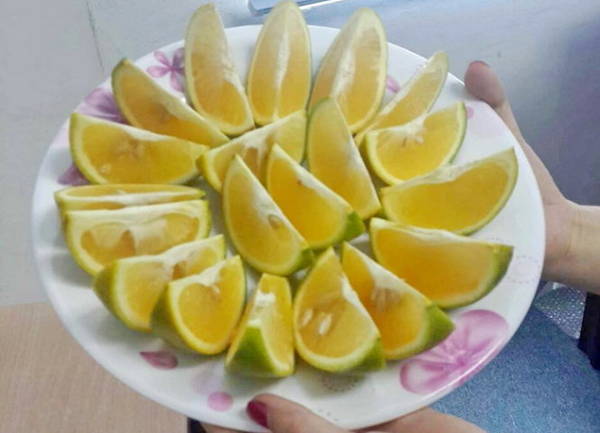 Vị cam Cao Phong không ngọt sắc, có vị ngơi chua chua, nhưng ăn thì rất mát và dễ chịu - Ảnh: Huyền Trần