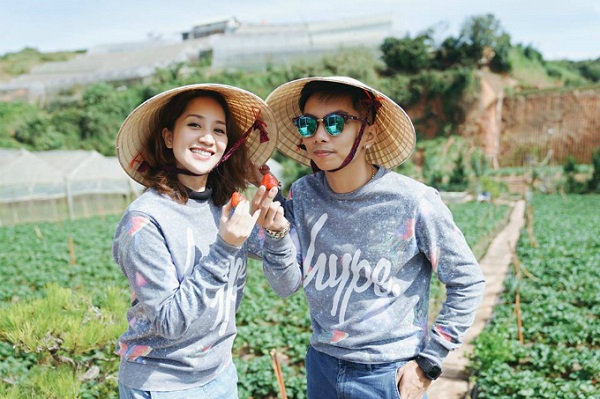 Vườn dâu tây khi du lịch Đà Lạt Vườn dâu tây khi du lịch Đà Lạt