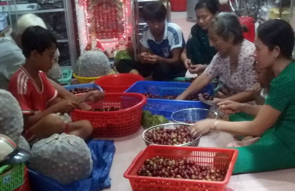 Hồng quân Ngũ Hồ Sơn An Giang chuẩn bị ngâm ủ rượu