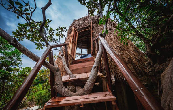 Căn lều tổ chim này nằm trong khu du lịch sinh thái Sao Biển, cách thành phố Cam Ranh khoảng 30 km, thành phố Nha Trang 90 km. Đây là một trong chuỗi 6 tổ chim xây dựng trên triền núi, nhìn thẳng xuống biển, mang tên các loài chim.