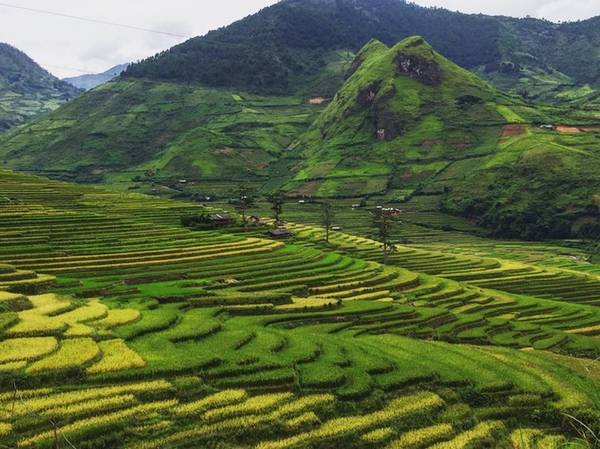 "Đường đi đã được thông suốt, một số điểm còn lở nhưng đã và đang được dọn sạch. Cầu đi vào suối nước nóng bản Bon ở Nghĩa Lộ bị sập, muốn vào phải lội qua suối, gửi xe ở ngoài. Bản Hốc vẫn tắm được bình thường, nhưng nước bị đục", Tuấn thông tin thêm về đường đi ở Yên Bái sau đợt lũ vừa qua.