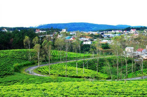 Gợi ý lịch trình du lịch Đà Lạt 2 ngày cuối tuần chỉ 1.170.000 đồng/người