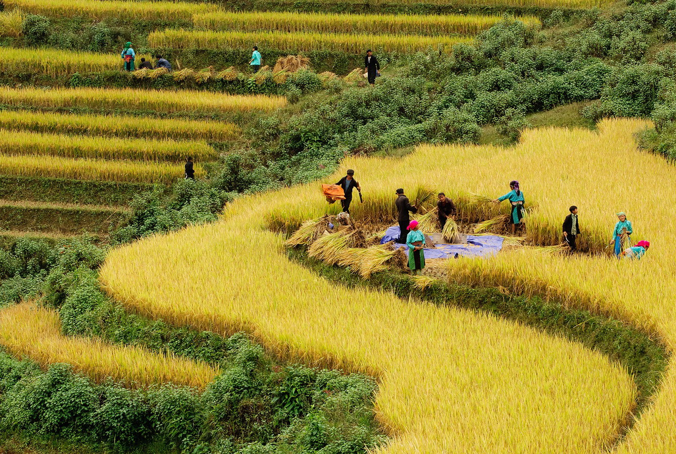 Ảnh: @ Sapa Charm Hotel