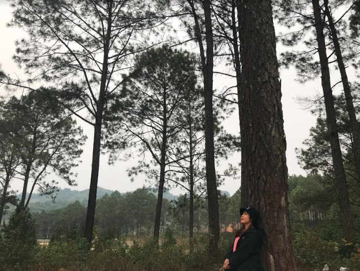 lich-trinh-chi-tiet-du-lich-a-noi-ninh-binh-moc-chau-trong-8-ngay-ivivu-34 lich-trinh-chi-tiet-du-lich-a-noi-ninh-binh-moc-chau-trong-8-ngay-ivivu-34