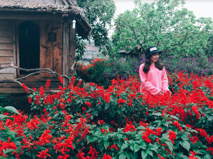 lich-trinh-chi-tiet-du-lich-a-noi-ninh-binh-moc-chau-trong-8-ngay-ivivu-35 lich-trinh-chi-tiet-du-lich-a-noi-ninh-binh-moc-chau-trong-8-ngay-ivivu-35