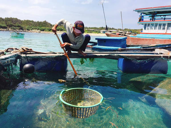 Hải sản tươi ngon được vớt lên trực tiếp.