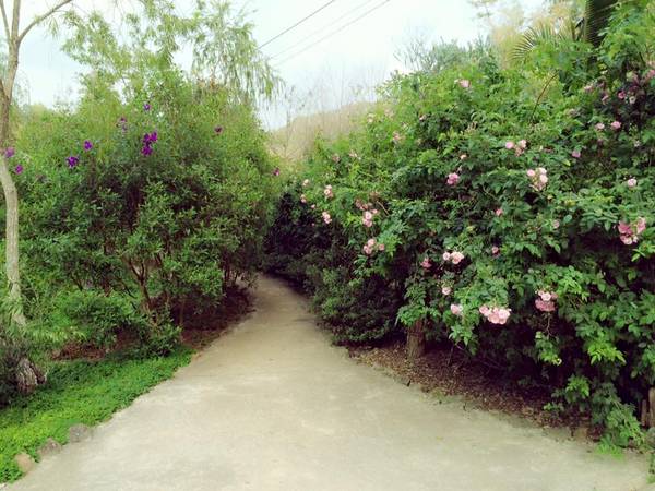Cung đường chinh phục Ma rừng lữ quán đầy thử thách