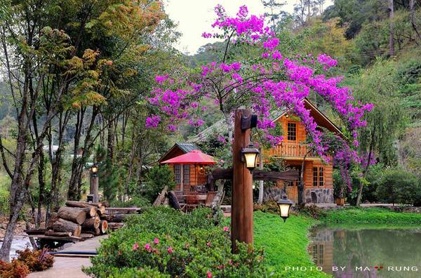 Ma rừng lữ quán chốn bình yên giữa đại ngàn
