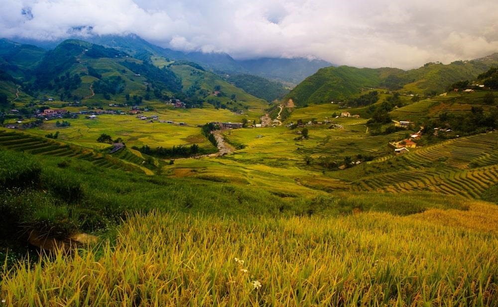 Ruộng bậc thang Mường Hoa Sa Pa