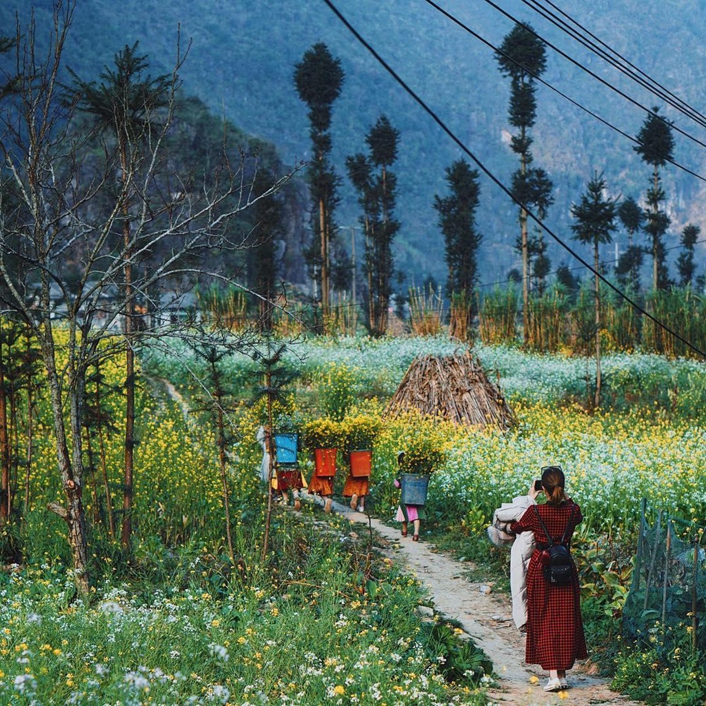Cảnh đẹp thiên nhiên Hà Giang Sa Pa