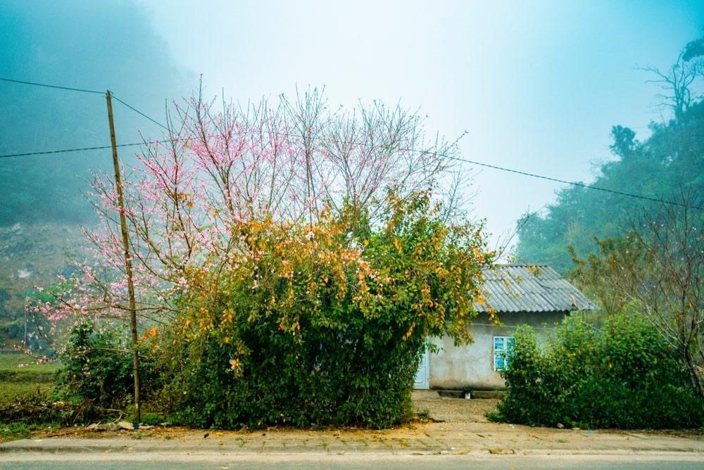 Làng văn hóa Lũng Cẩm Hà Giang