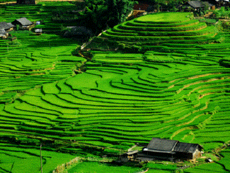 Du lịch Sapa lonely-planet-goi-y-nhung-diem-den-khong-nen-bo-lo-tai-viet-nam-1-ivivu