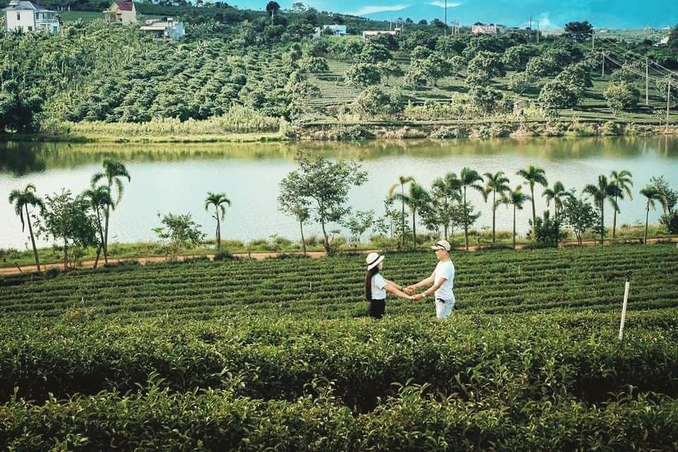 Hồ Phúc Thọ gần Long Đỉnh Organic Tea Lâm Đồng