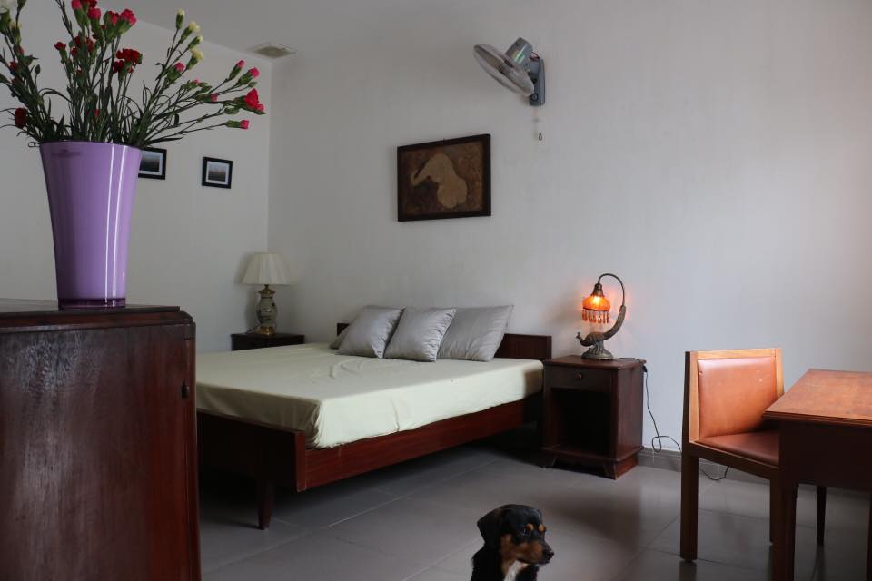 Phòng ngủ ấm cúng tại homestay đảo Bình Hưng
