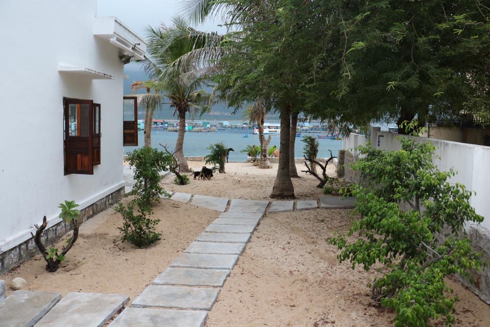 Nội thất cổ điển tinh tế tại homestay đảo Bình Hưng