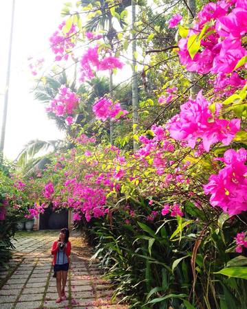 Kiến trúc thuộc địa tại La Maison De Campagne