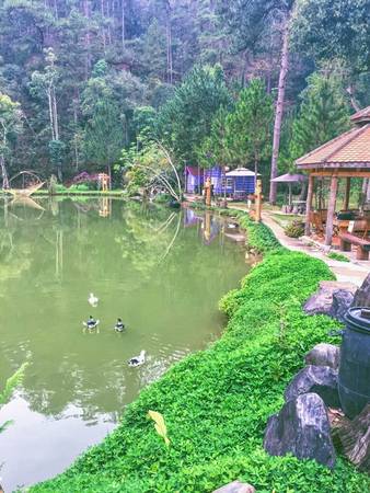 Không gian bình yên tại Ma Rừng Lữ Quán Đà Lạt