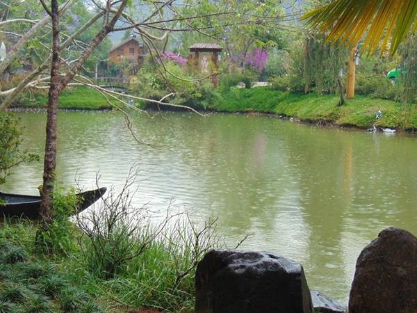Ma Rừng Lữ Quán Đà Lạt – Trái tim giữa núi rừng