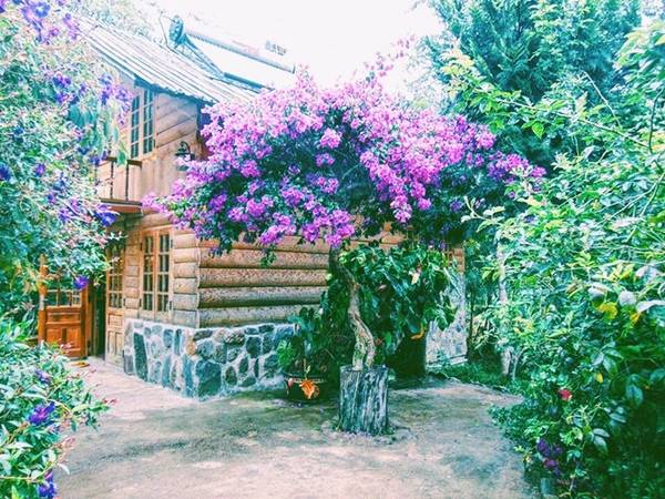 Nhà gỗ hoang sơ tại Ma Rừng Lữ Quán Đà Lạt