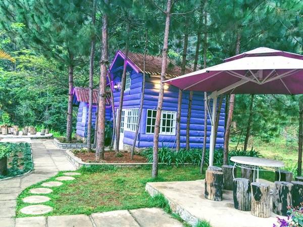 Nhà tím giữa rừng thông Ma Rừng Lữ Quán Đà Lạt