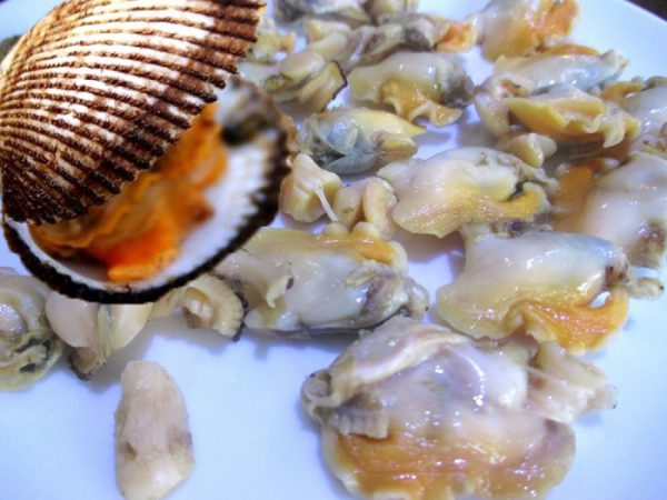 Sò tươi nguyên liệu làm mắm sò Lăng Cô