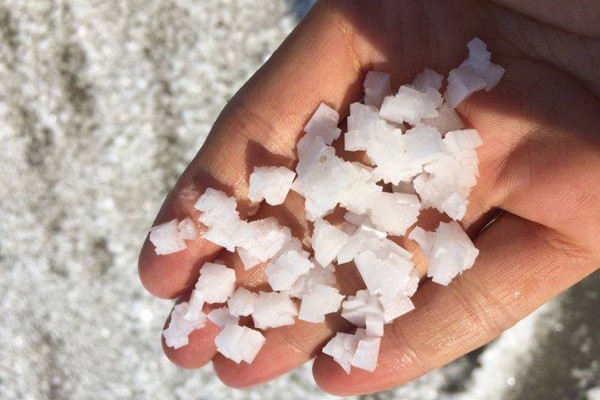 Muối hột tinh khiết làm mắm sò Lăng Cô