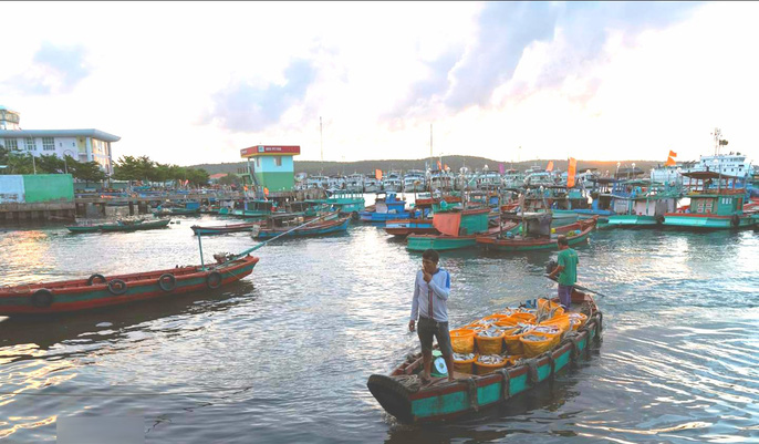Hoạt động nhộn nhịp tại cảng cá An Thới Phú Quốc