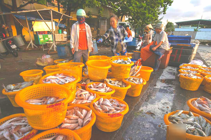 Người dân và thương lái thu mua cá tại cảng cá An Thới