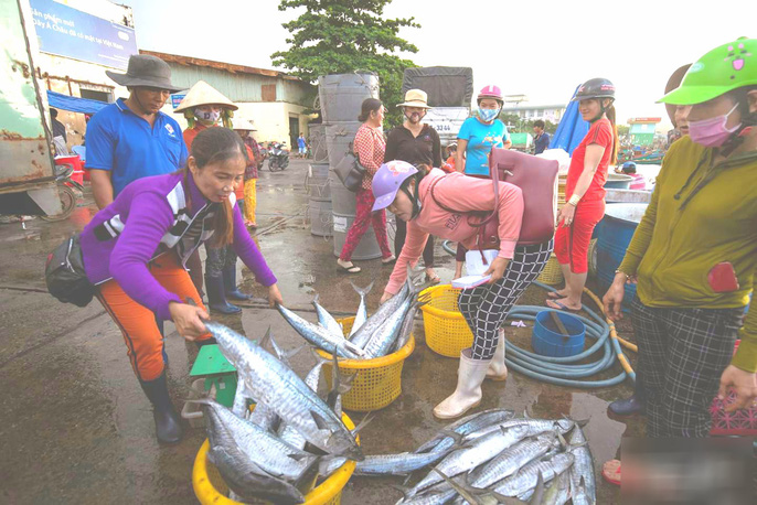 Thuyền chở cá cơm than về cảng cá An Thới