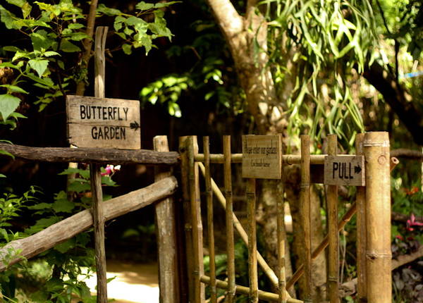 Khu vườn đa dạng tại Mango Bay Phú Quốc