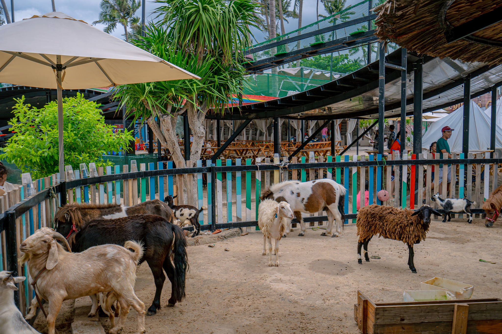 Vườn thú mini cho bé tại Mango Beach Bình Thuận