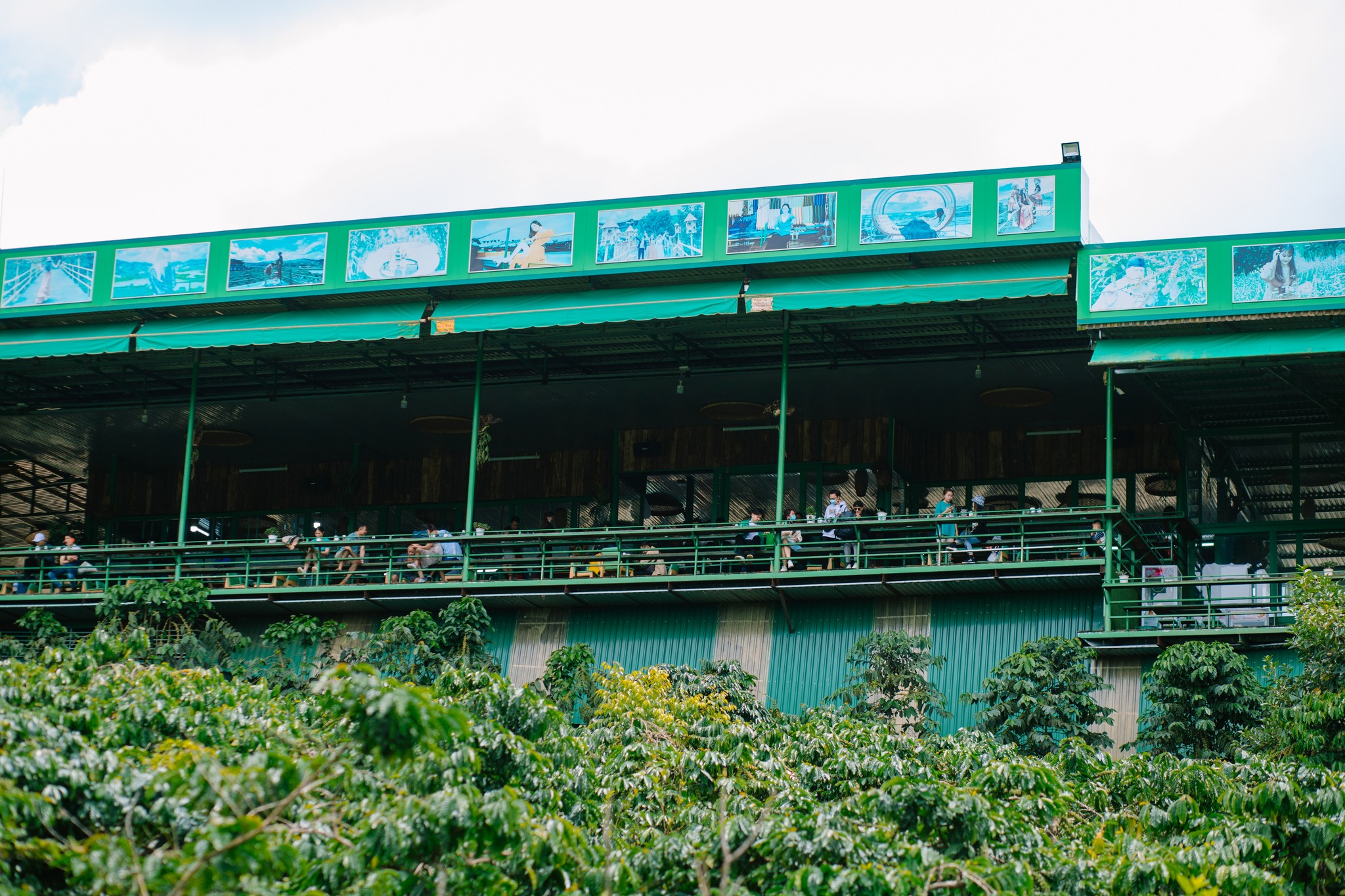 Mê Linh Coffee Garden tour Tết Đà Lạt