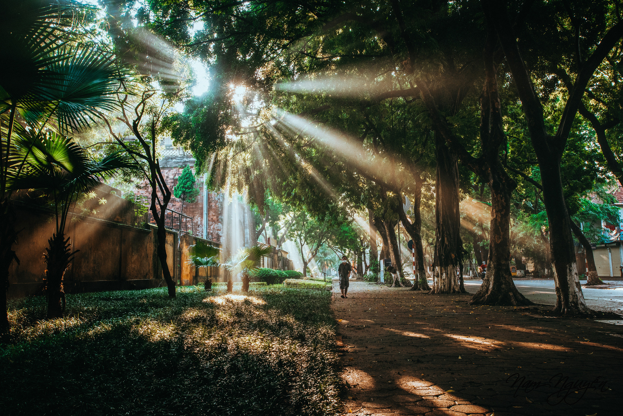 Ảnh: toquoc