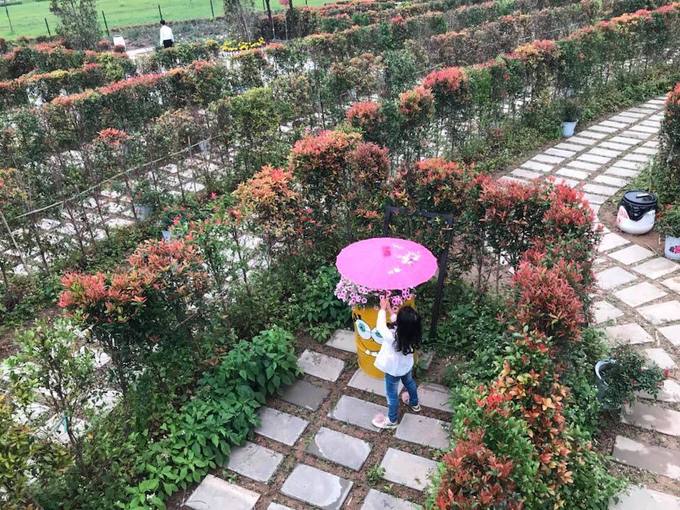 Mê cung có nhiều vòng tròn đồng tâm nhưng cũng nhiều ngõ cụt, thách thức khả năng phán đoán hướng đi của du khách. Để tránh lạc, mất phương hướng, du khách vào mê cung được phát một tấm bản đồ về đường đi. Trong đó mô phỏng mê cung thu nhỏ, du khách nhìn vào để có thể đến được nơi mình muốn.