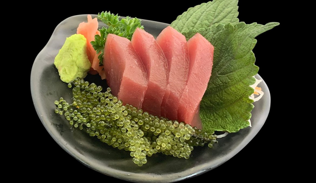 Sashimi cá ngừ đại dương