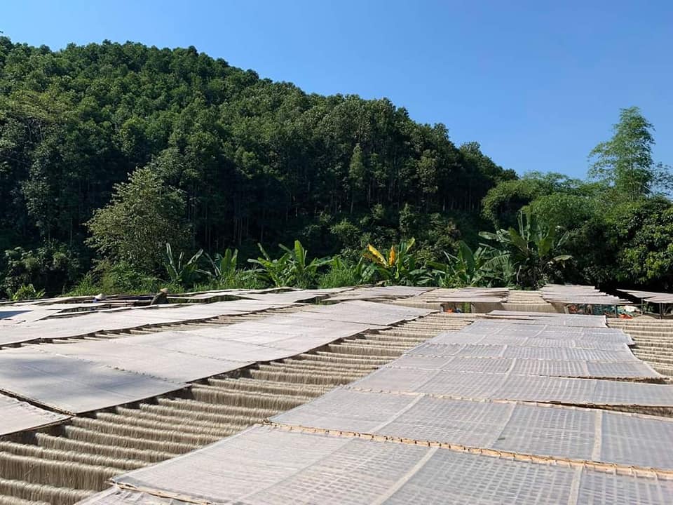 miến-dong-na-rì-ivivu-8