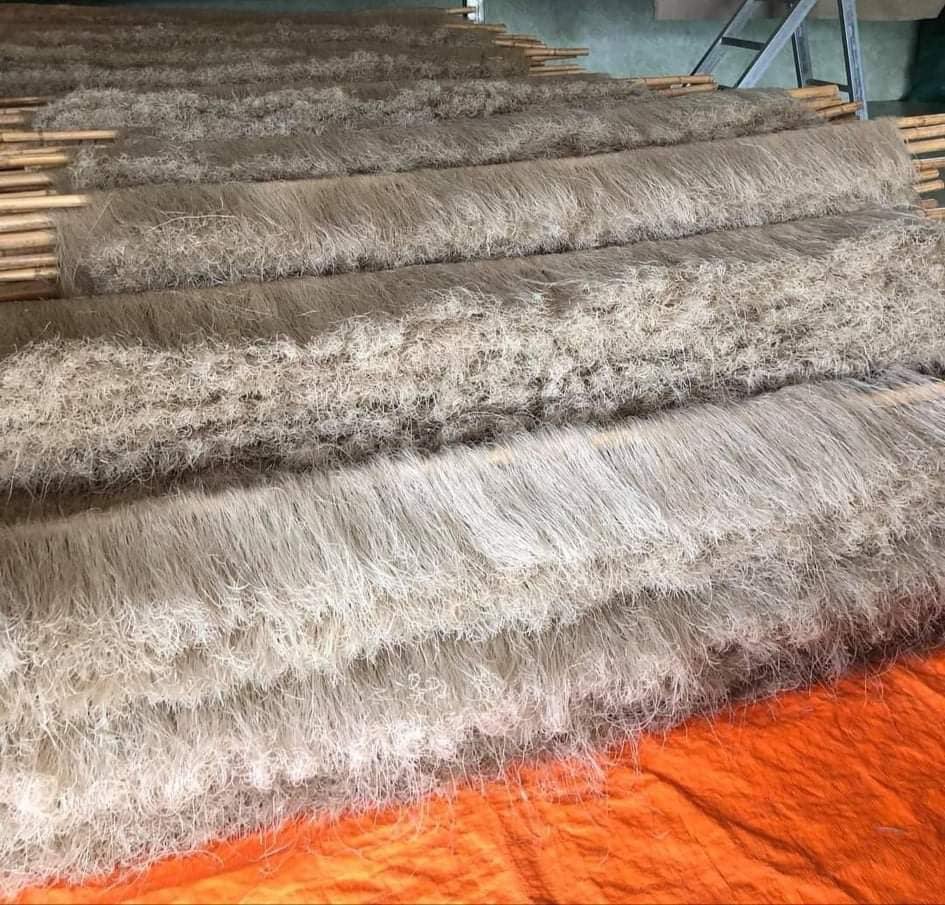 Củ dong sau khi xay thành bột, kéo sợi, sẽ được mang đi phơi khô. Ảnh: FB Đặc sản đồ khô các vùng miền