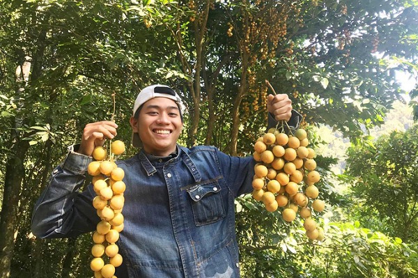 Đến đây, du khách còn được trải nghiệm vườn trái cây theo mùa.