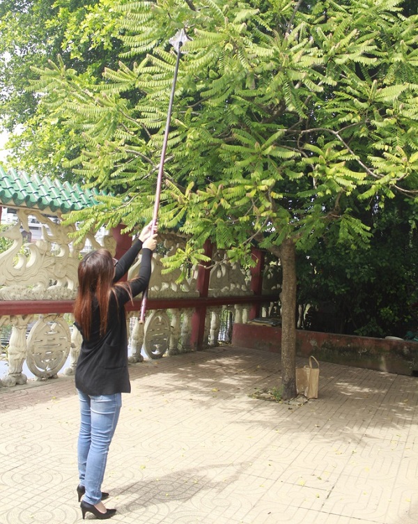 Trong sân có cây chùm ruột trĩu quả, người đi lễ có thể mượn cây khoèo của miếu, móc hái trái xin lộc.